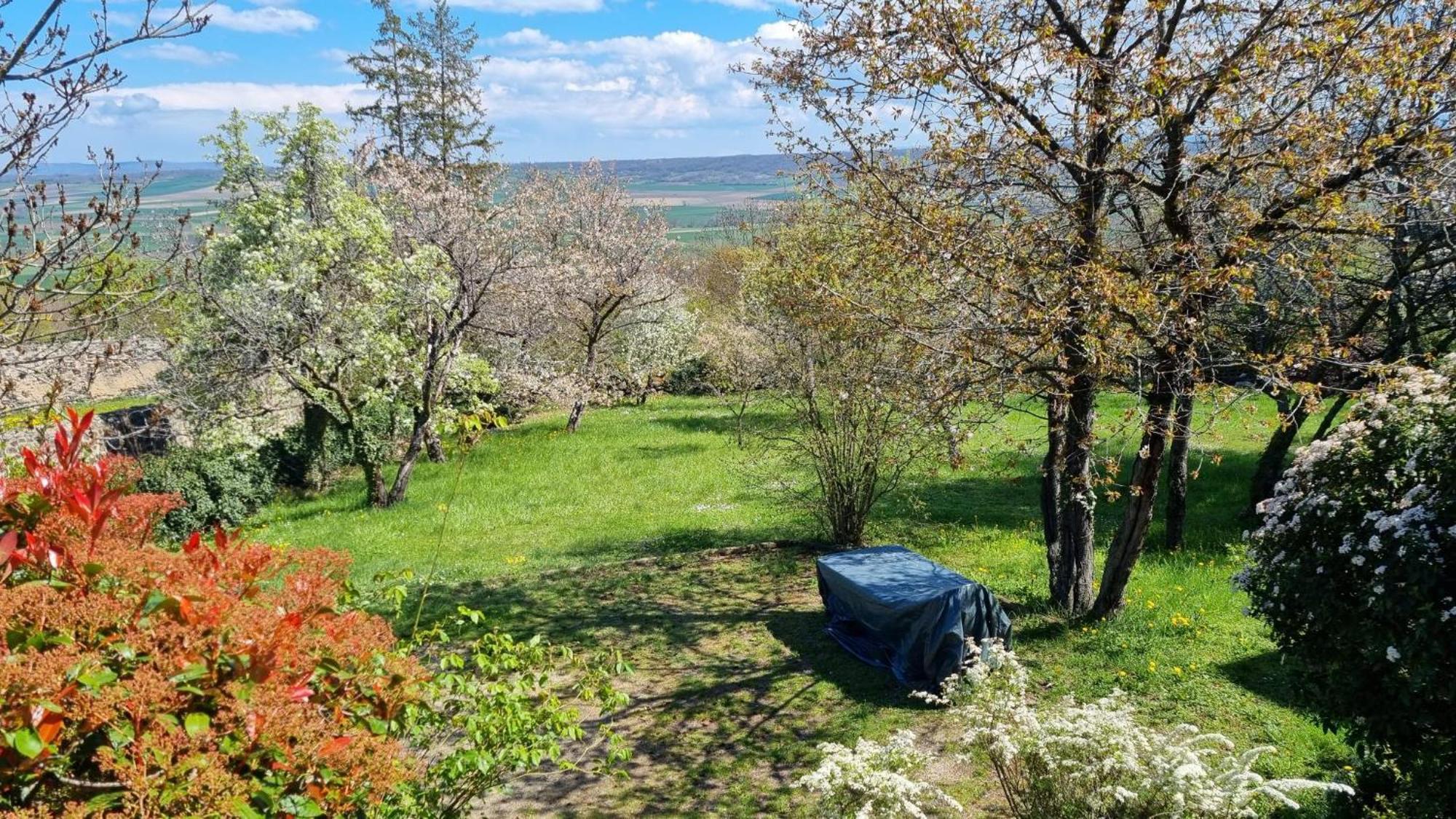 Villa L'Oustalou - Wifi - Jardin - Campagne Villeneuve  Esterno foto